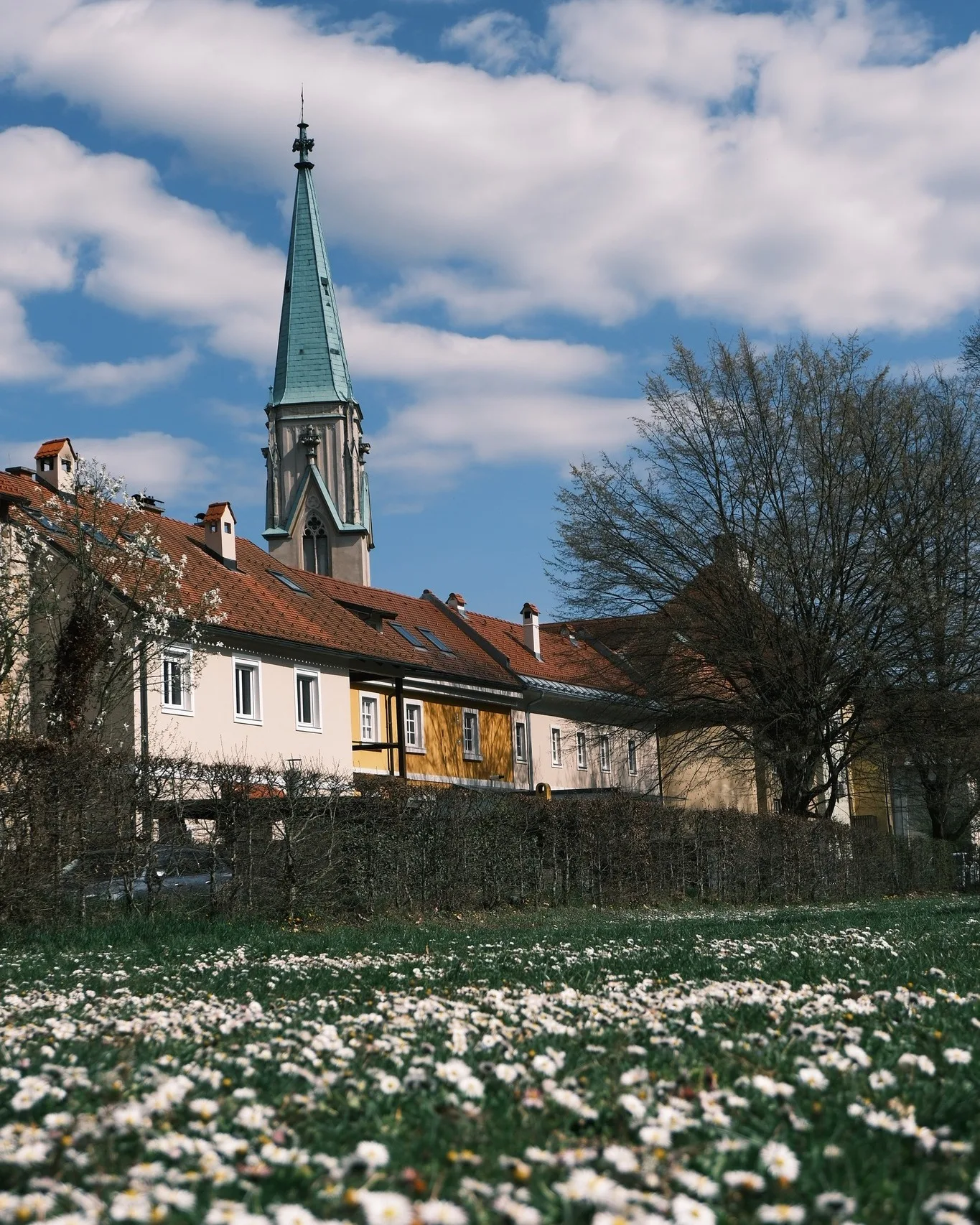 Staro mestno jedro Celja in urbano zelenje